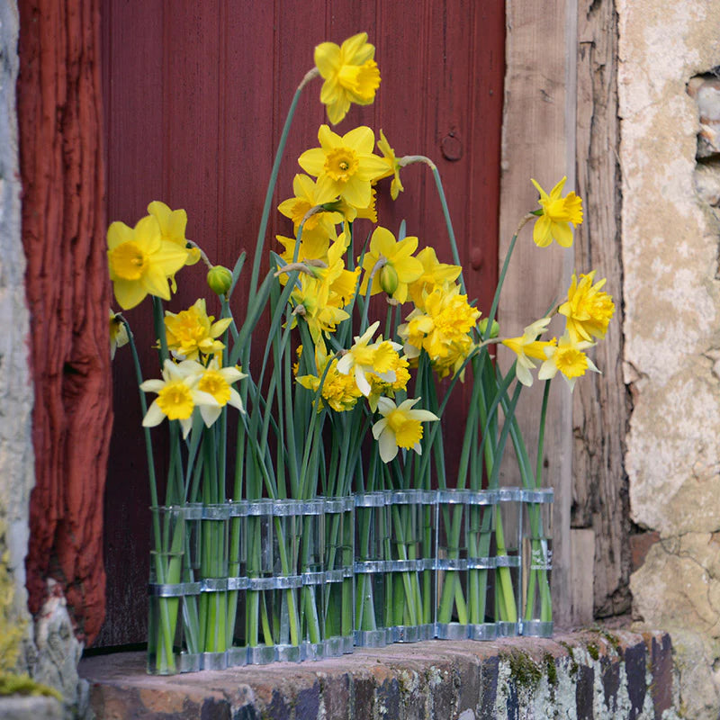 TSE & TSE ASSOCIATES LITTLE APRIL VASE